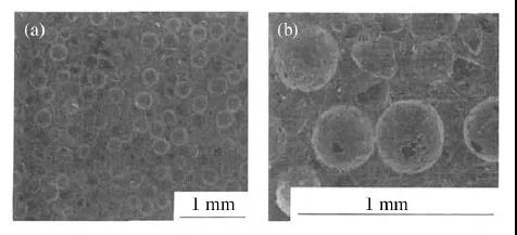 ×ðÁú¿Ê±¡¤(ÖйúÇø)ÈËÉú¾ÍÊDz«!